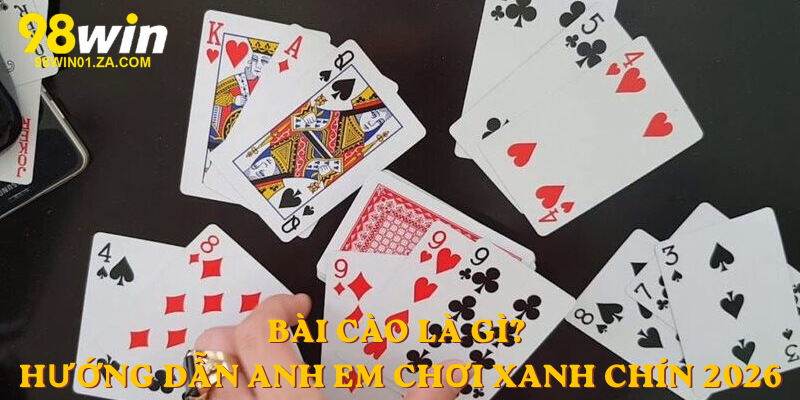 Bài cào là gì
