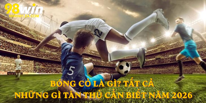 Bóng cỏ là gì