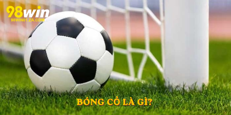 Bóng cỏ là gì? 
