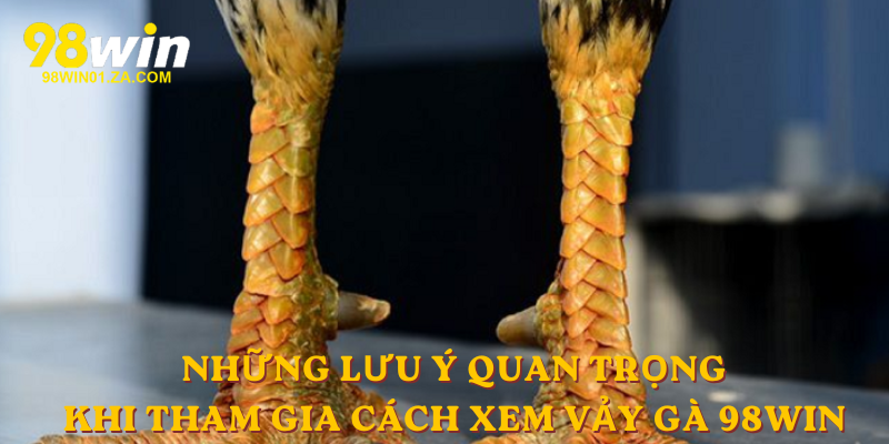 Những lưu ý quan trọng khi tham gia Cách xem vảy gà 98win