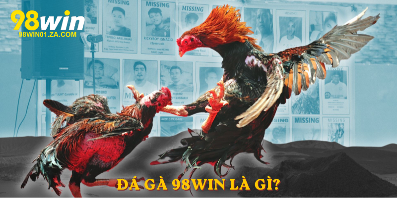 Đá gà 98win là gì?