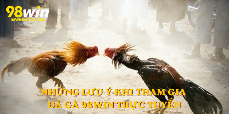Những lưu ý khi anh em tham gia đá gà 98win trực tuyến