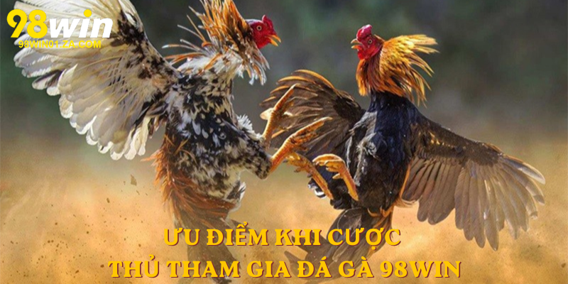 Ưu điểm khi cược thủ tham gia đá gà 98win