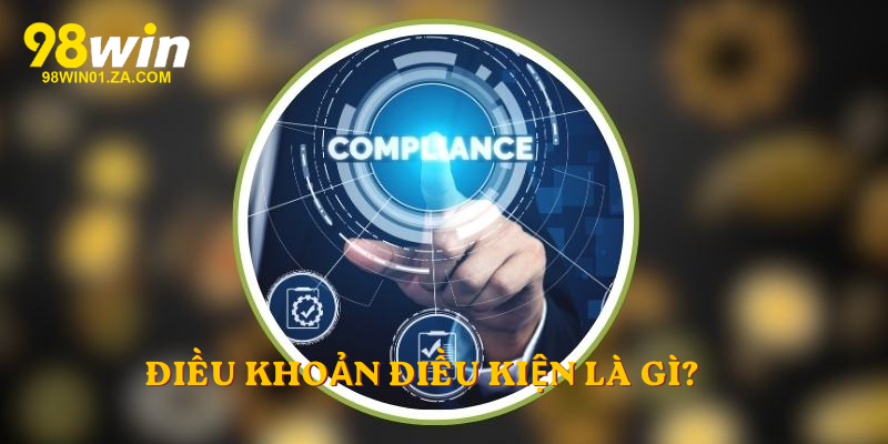 Điều Khoản Điều Kiện là gì?