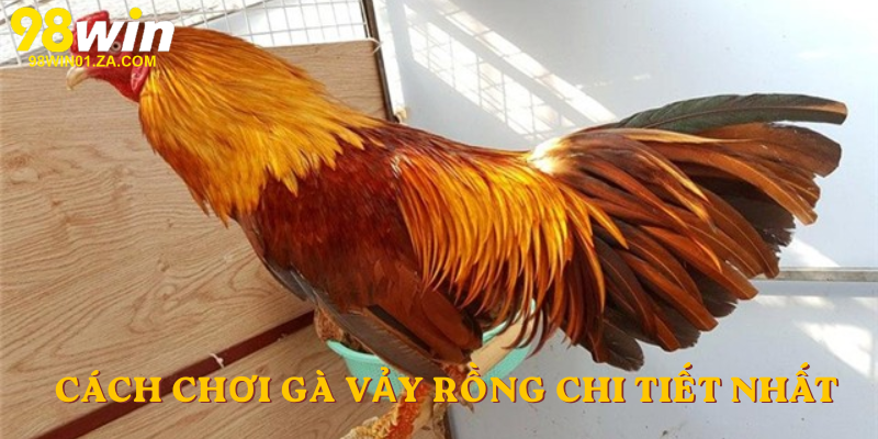 Cách chơi Gà Vảy rồng chi tiết nhất