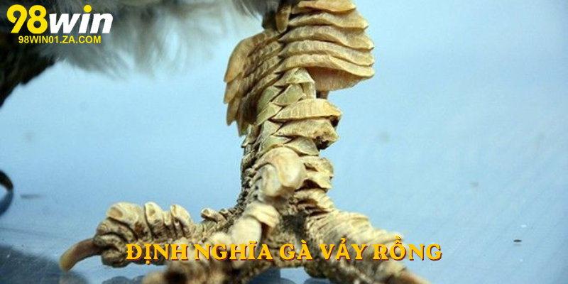 Định nghĩa Gà Vảy rồng