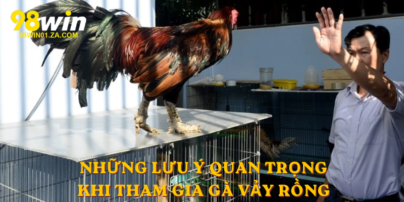 Những lưu ý quan trọng khi tham gia Gà Vảy rồng
