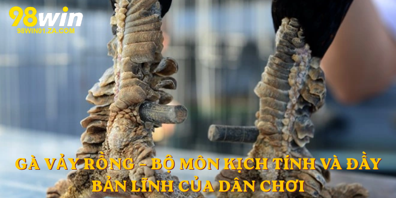 Gà Vảy rồng